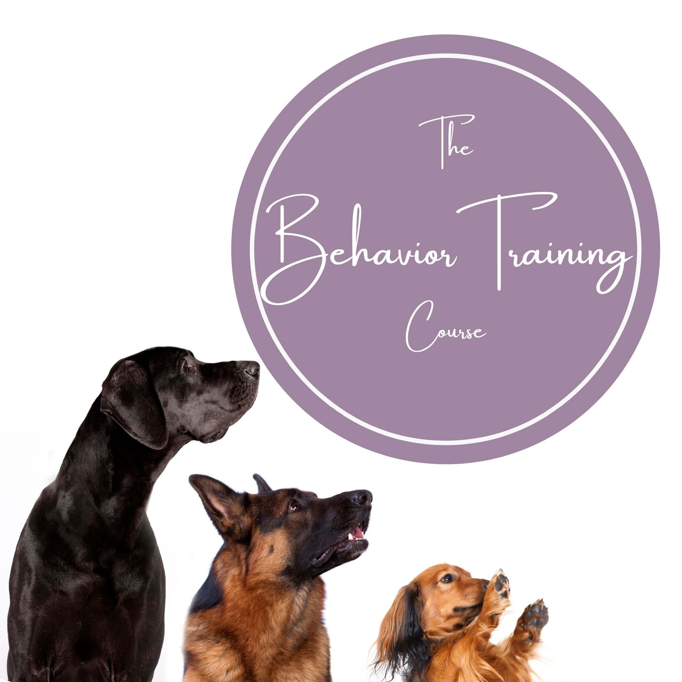 Rowan's Dog Training Online Training Courses | Rowan's Dog Training