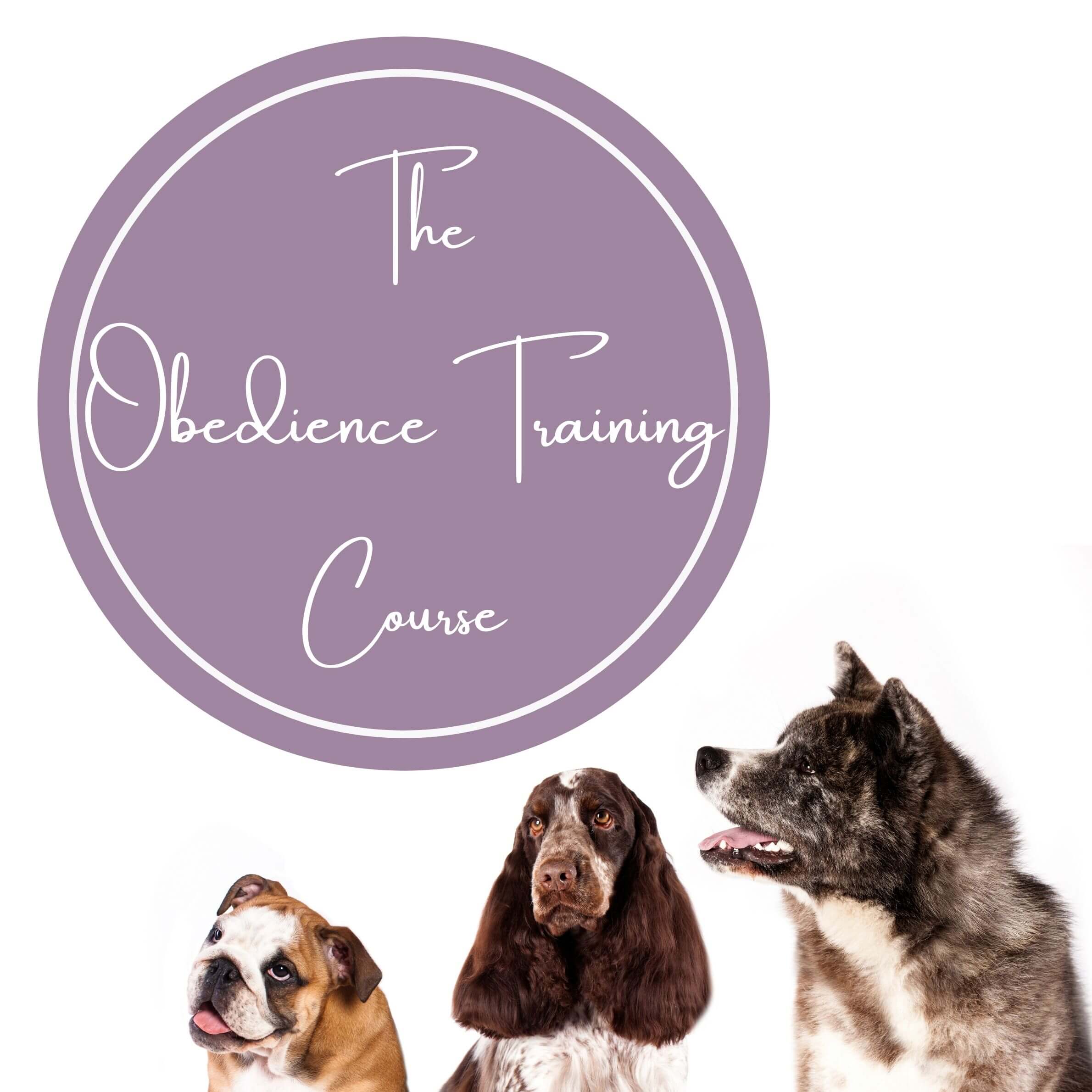 Rowan's Dog Training Online Training Courses | Rowan's Dog Training